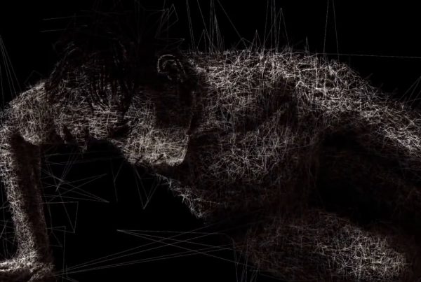 491447882_1280x720