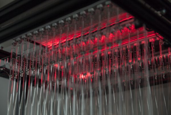 _MG_3598