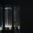 No 2 Time Displacement  _ Chemobrionic Garden _ARTJAWS4
