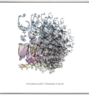 Coevolution model / Community of species