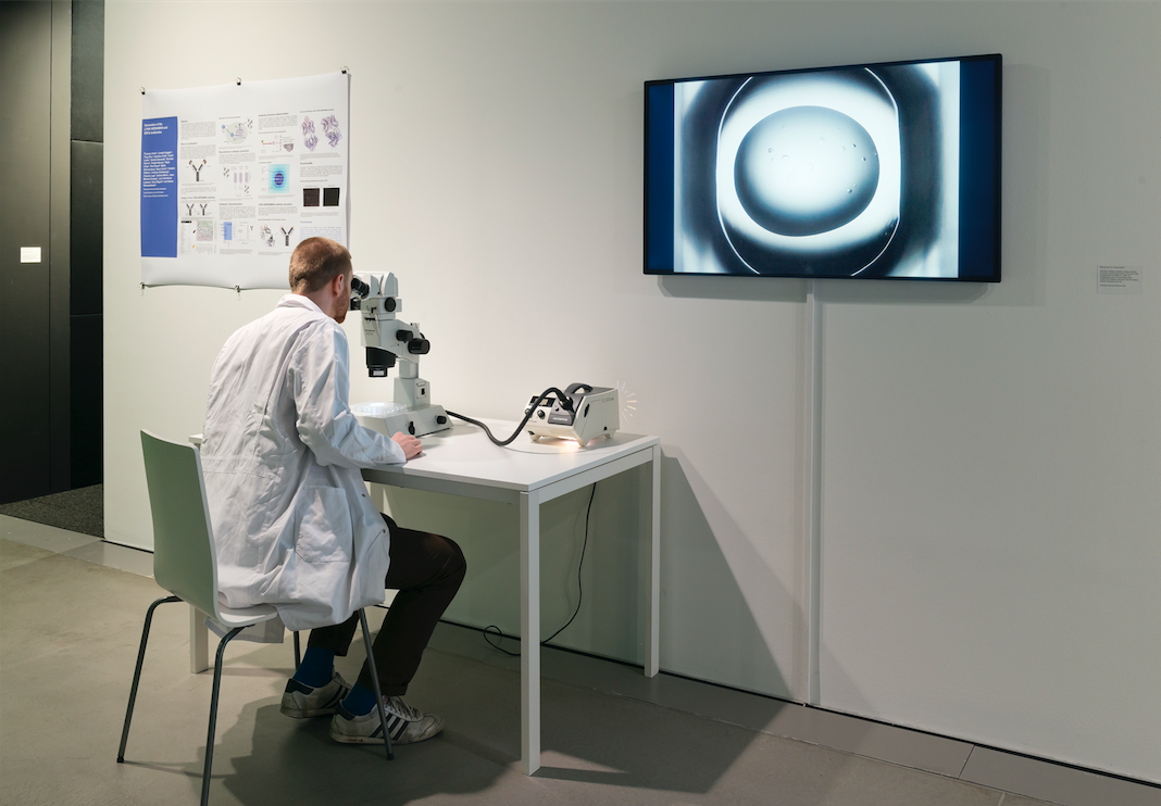 “Anti-Bodies”, biological progress, scientific research and artificial intelligence at the HeK in Basel